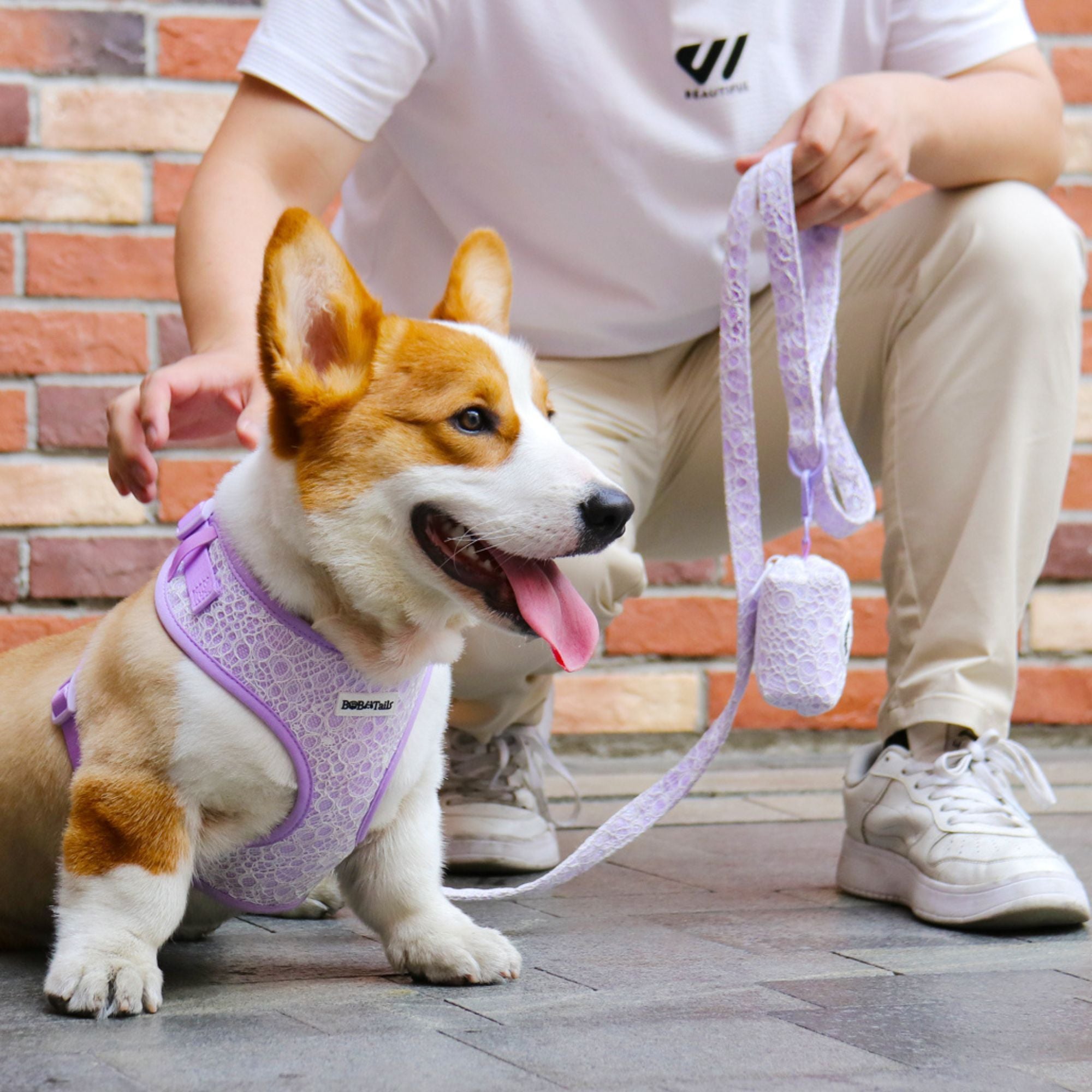lavender lace leash running with dog matching the harness and owner accessories in a coordinated set 