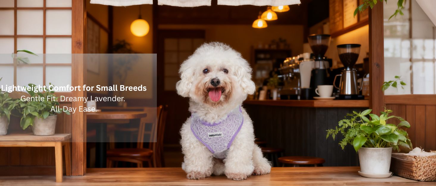 lavender lace service dog harness for small dog  as part of a coordinated dog and owner accessory system