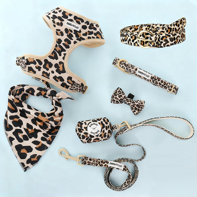 Leopard Print 7-Piece Set – Bold Matching Bundle for Dog & Owner