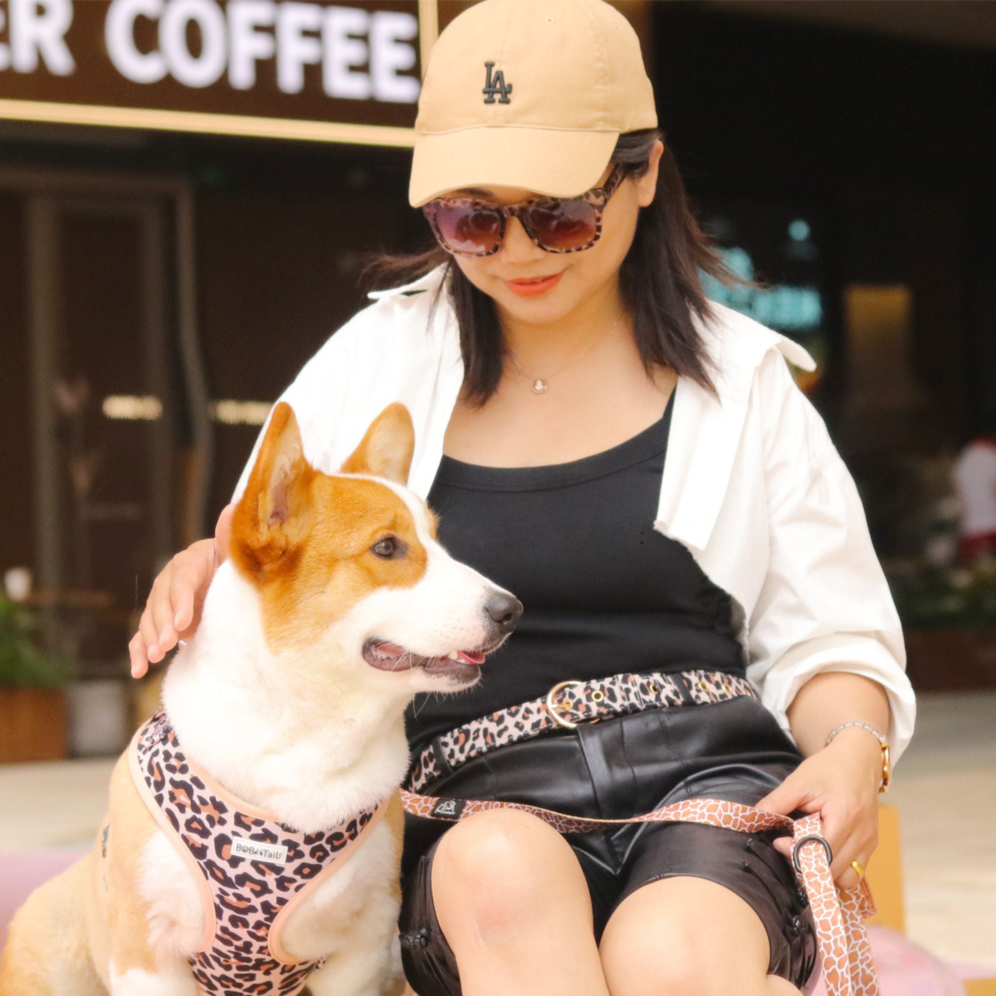 leopard dog harness leash se with matching owner belt as part of a complete dog and owner matching accessory set  