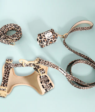 Leopard Print 4-Piece Set – Bold Matching Bundle with Women's Belt