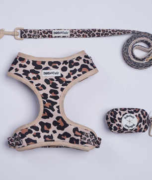 leopard printed dog harness leash set for small and medium dog  designed as part of a matching dog and owner accessory system for everyday walks