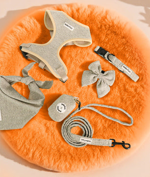 Pet accessories including a harness, collar, leash, and head collar,bow tie and bandana on an orange fur surface.