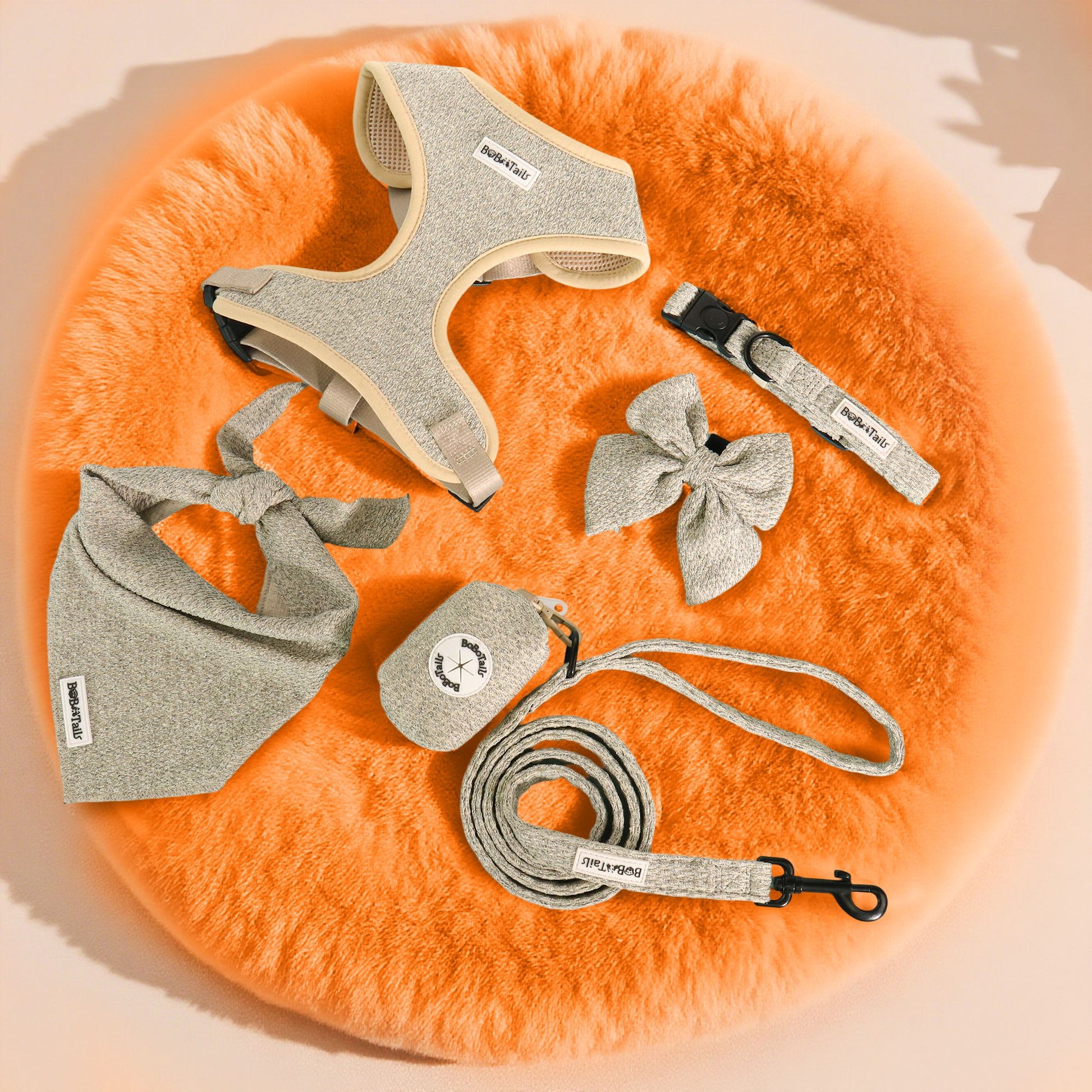 Pet accessories including a harness, collar, leash, and head collar,bow tie and bandana on an orange fur surface.