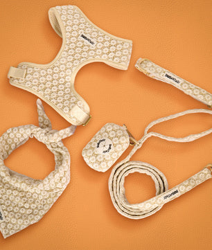 Dog harness, leash, and bandana set with floral pattern on an orange background-bobotails