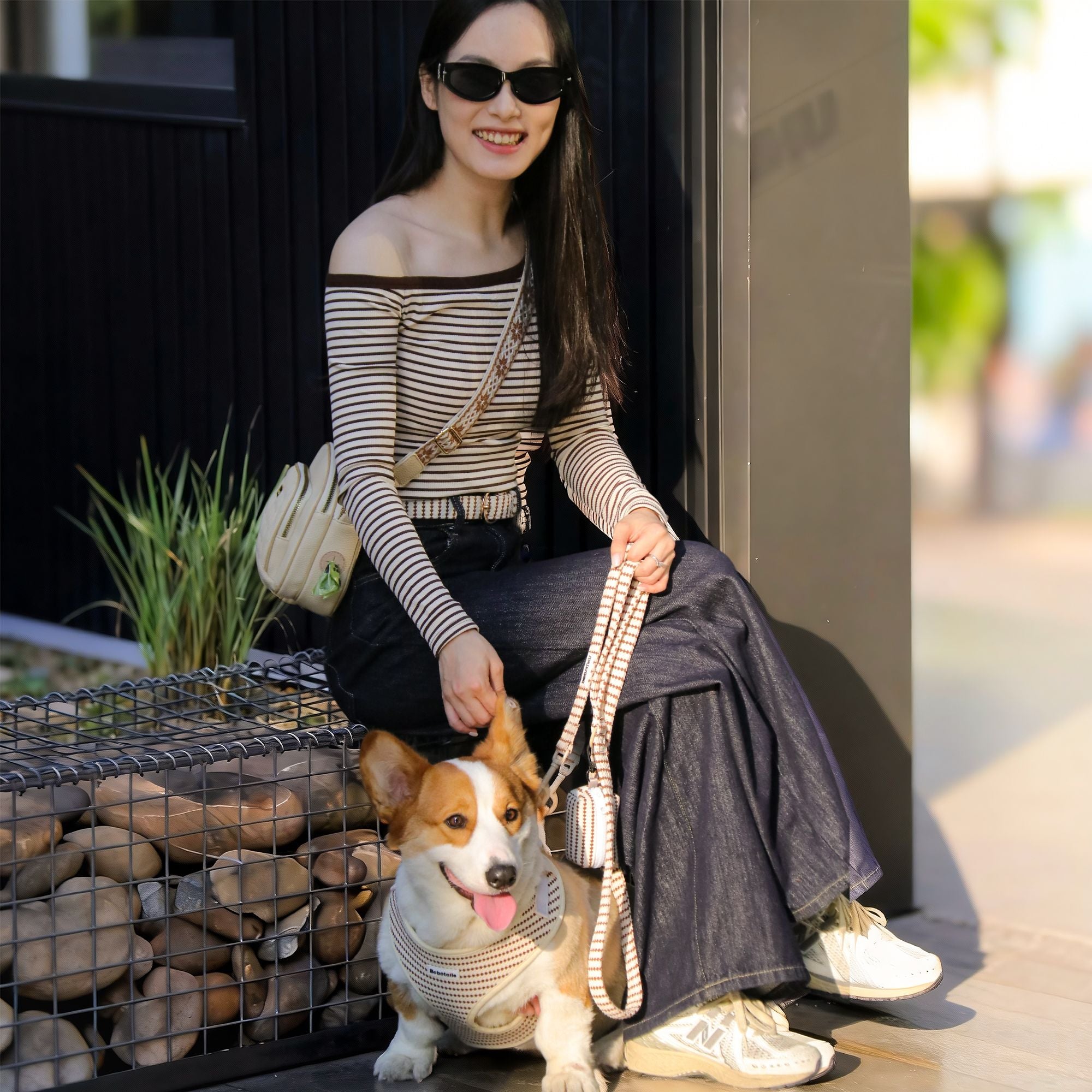 matching dog walking bag and small grain dog harness leash set