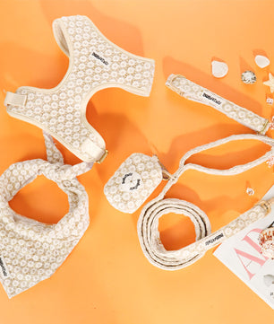 floral brilliance Dog harness, leash, and bandana set on an orange background with decorative elements.-bobotails