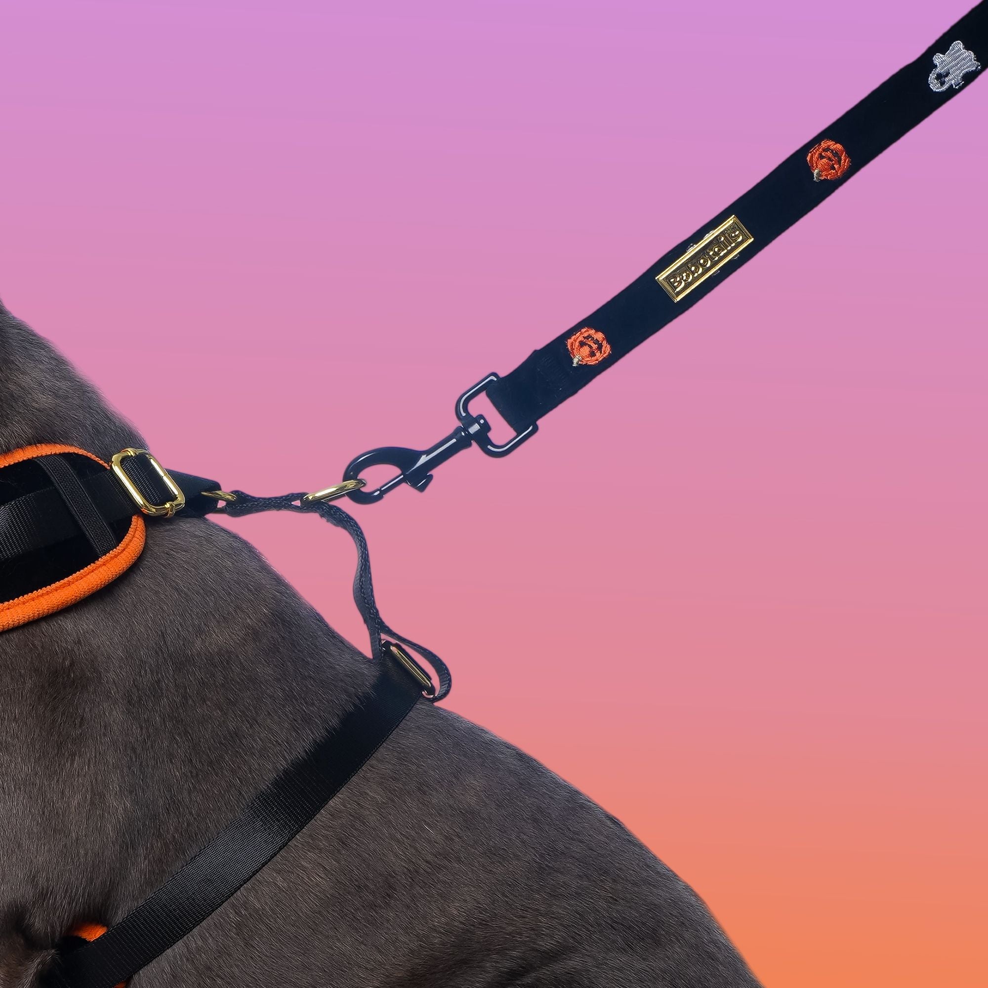 Hallowen Velvet Dog Leash | Bobotails