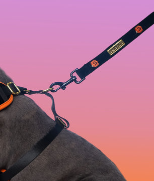 Halloween Velvet Dog Leash