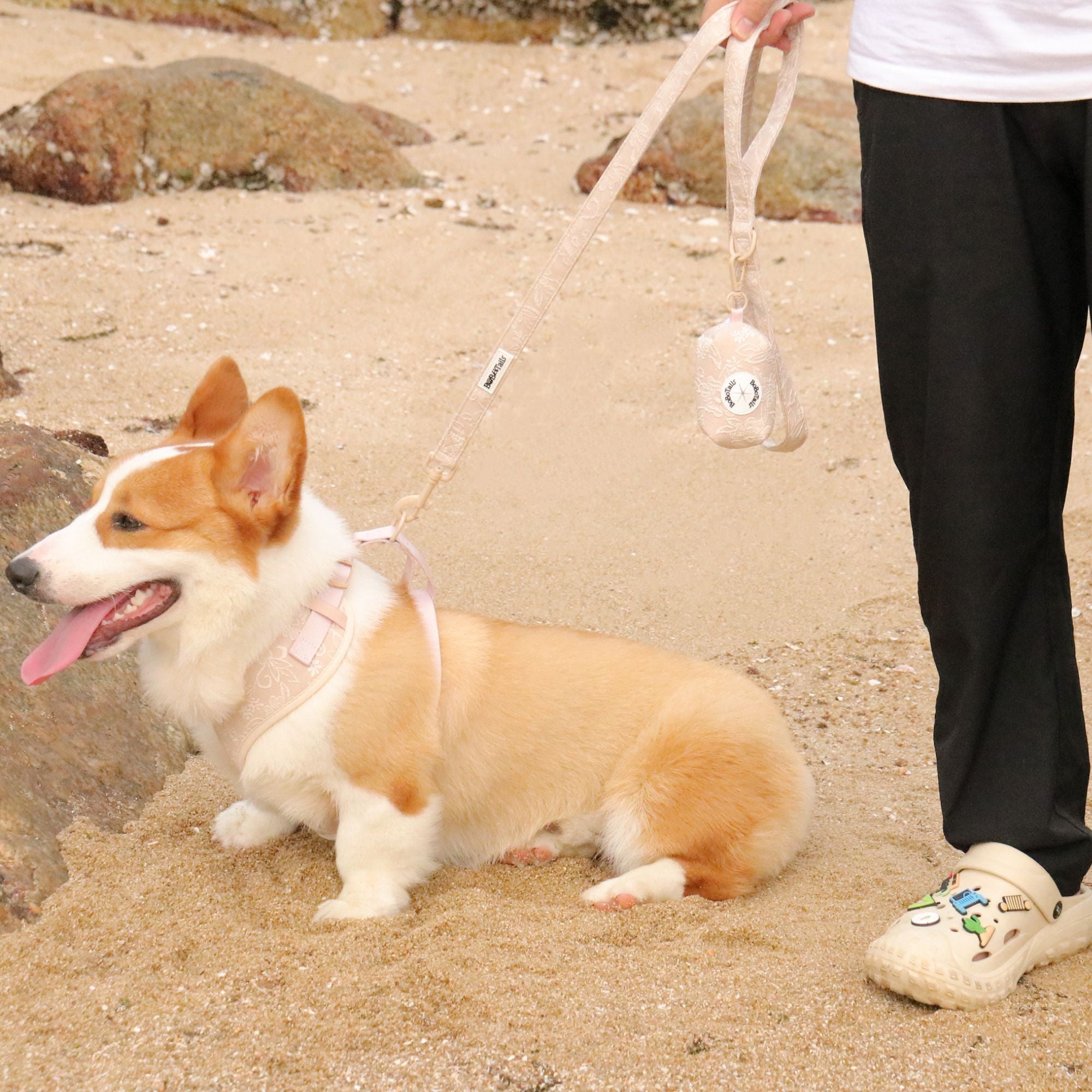 morning glory biscuit dog leash holder matching the harness and owner accessories for daily dog walks