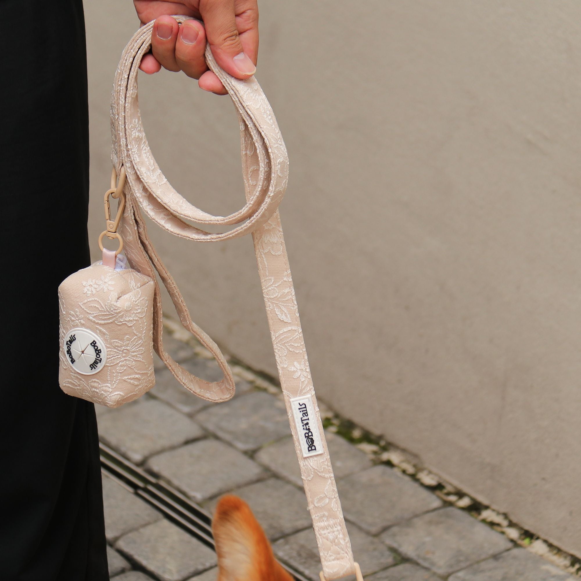 morning glory biscuit gentle lead harness for dogs designed to match the harness and owner accessories in a coordinated system