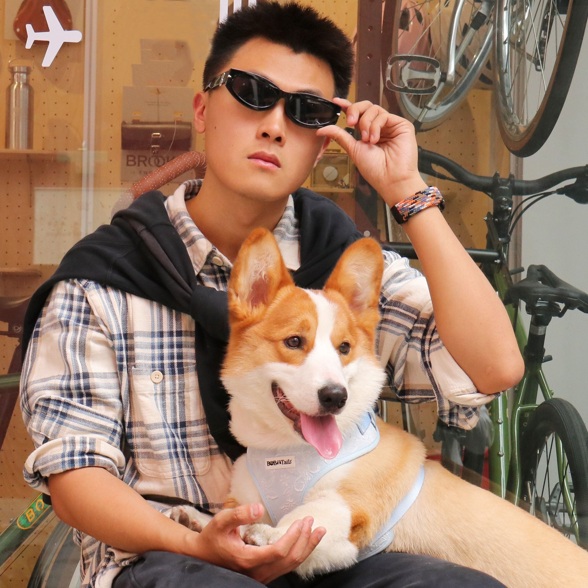 morning glory blue travel harness for dogs as part of a complete dog and owner matching accessory set