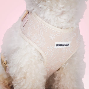 Side view of morning glory extra small dog harness showing fit and comfort within a coordinated dog and owner matching system