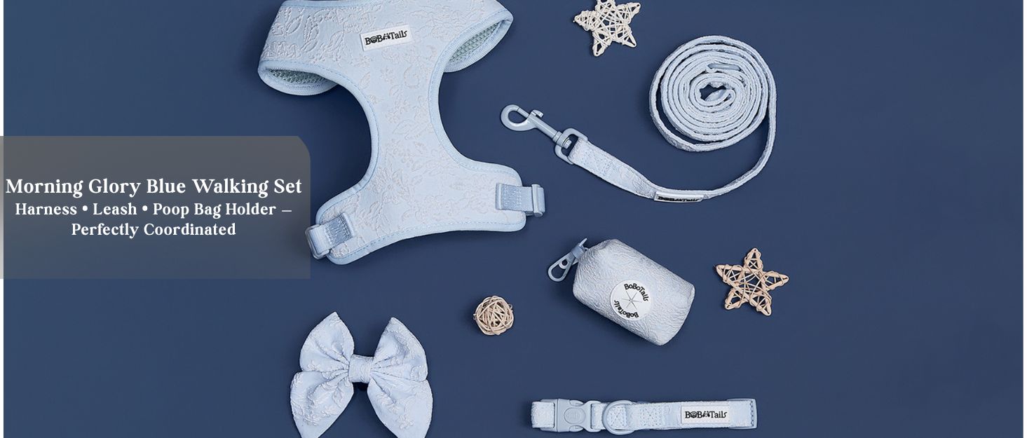 mornrinig glory blue dog harness collar leash set  as part of a complete dog and owner matching accessory set