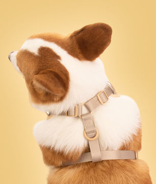 Bobotails no pull dog harness for medium dog sized 