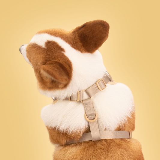 Bobotails no pull dog harness for medium dog sized 