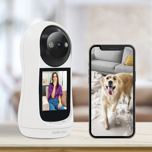 Pet 360 Degree Camera