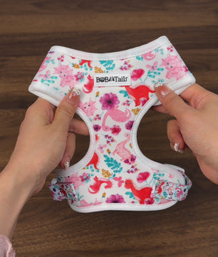 Bobotails Doggie Jackets,No Pull Dog Harness with 1 Dog Leash Clips, Adjustable Soft Padded Dog Vest, Airmesh Breatheable Pet Cotton material Vest with Easy Control for Small and Medium Size Dogs