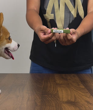 Khaki Green Tactical Dog Collars with durable nylon and quick-release buckle