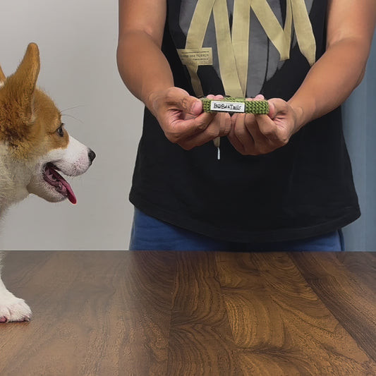 Khaki Green Tactical Dog Collars with durable nylon and quick-release buckle