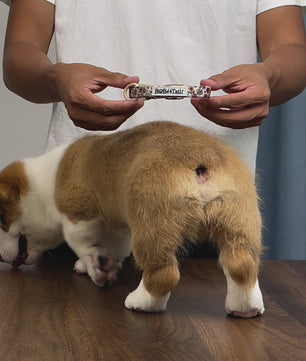 Bobotails Beauty of Flower dog collar charms For Small Dogs and Medium and Large Dogs