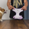 Bobotails design of inspiration fashion and stylish collection beauty of lace best puppy harness for small medium and large dogs