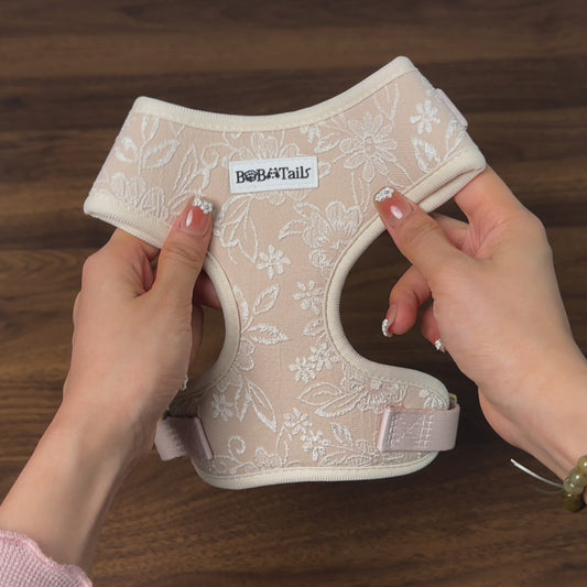 Morning Glory dog harness no pull dog  harness design as part of a coordinated dog and owner accessory system