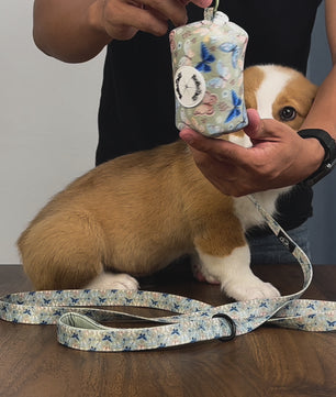 Durable retractable dog leash with smooth one-button locking system