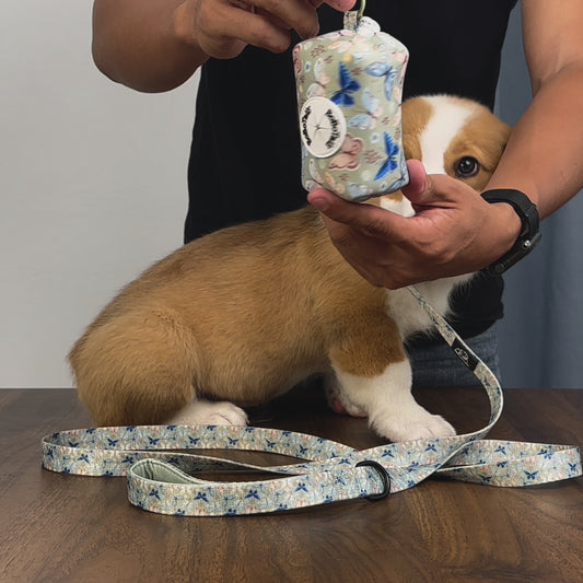 Durable retractable dog leash with smooth one-button locking system