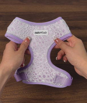 2024 Bobotails Lavender Purple Halloween Collection Beauty of Lace No-Pull Dog Vest Harness For Small Dogs and Medium Dogs  