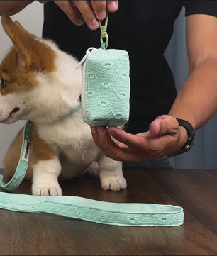 Bobotails Silk Embroidery no pull dog leash,2/3/5 FT Dog Training Leash with Comfortable Padded Handl Small and Medium Dogs