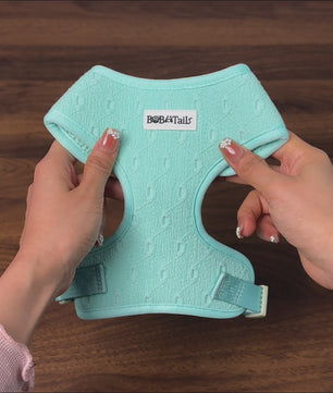 Bobotails No-Pull dog walking harness with 2 D-ring buckle.Adjustable Soft Padded Dog Vest,Reflective,Air-mesh Breatheable soft Polyster Pet Vest with Easy Control Handle for Small ,Medium Dogs