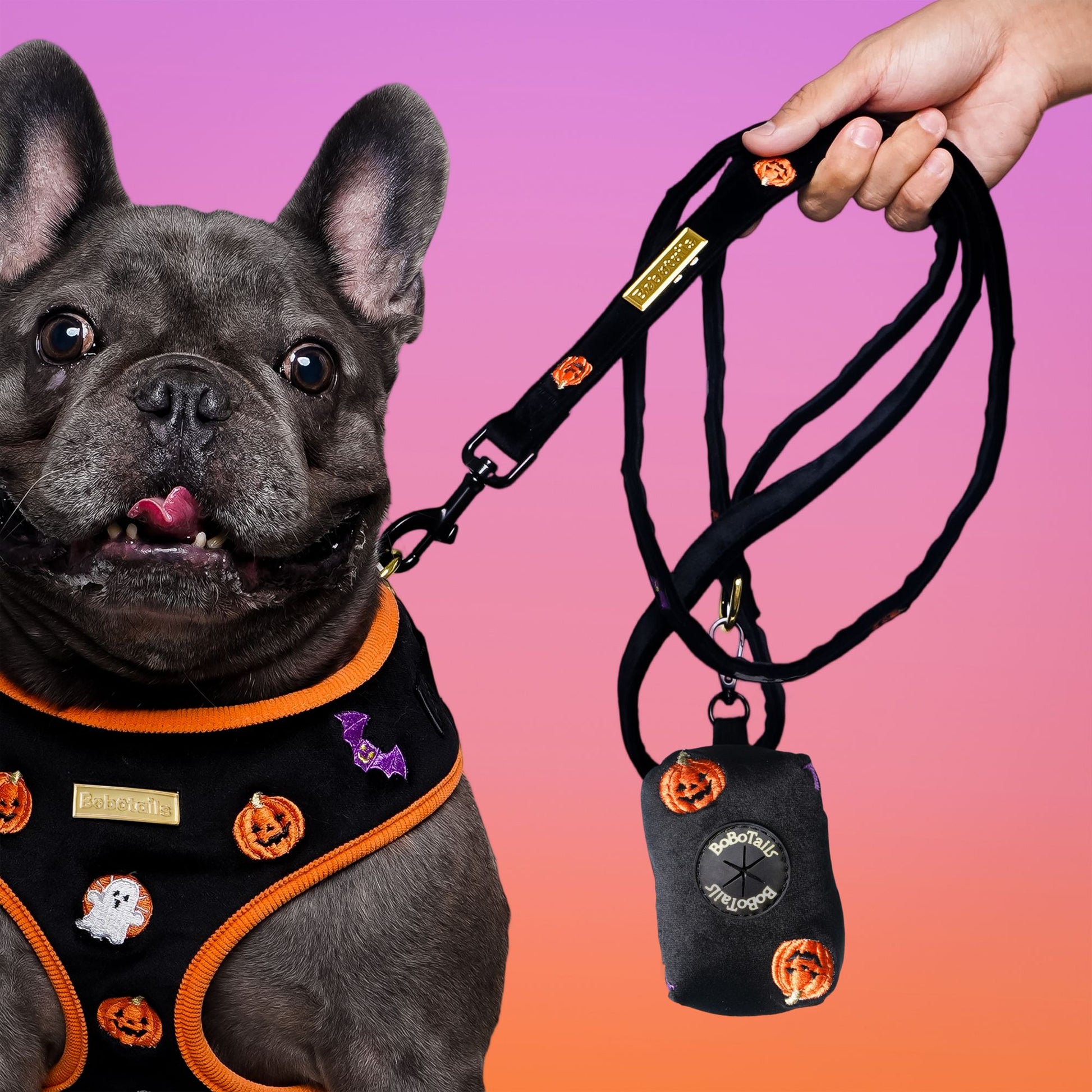 Halloween Dog Harness Matching Set Bundle