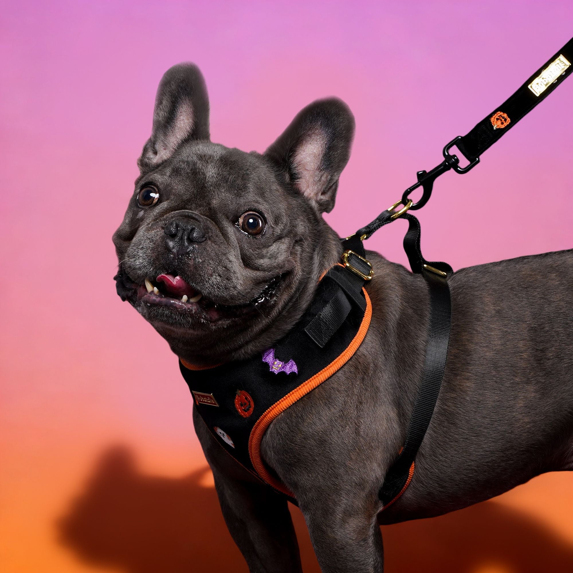 Hallowen Velvet Dog Leash | Bobotails