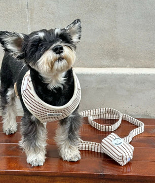 dog poop bag holder matching the small grain harness and owner accessories for daily dog walks