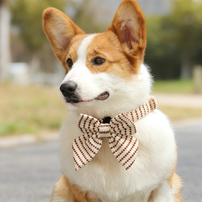 small grain bow tie collars for dogs designed to match the harness and owner accessories in a coordinated system