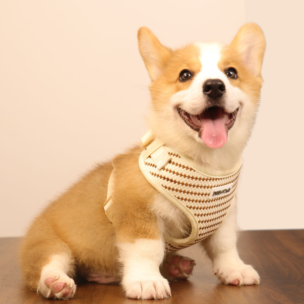 small grain matching dog harness  set dog bows for x small dog 