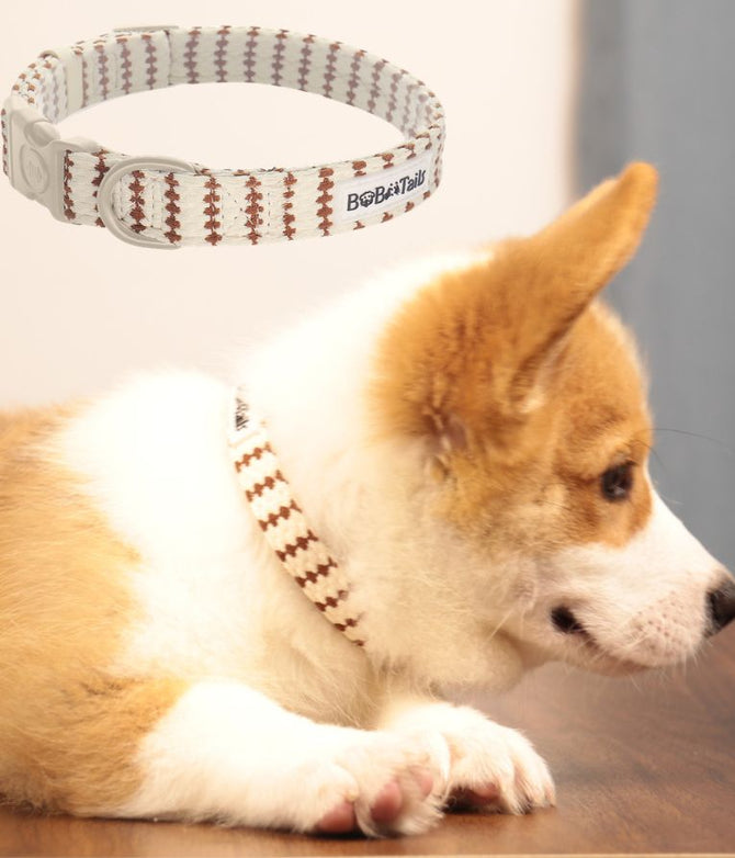 small grain dog collar for extra small dog
