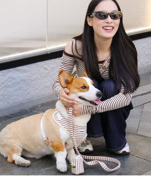 Small Grain Woman Matching Belts