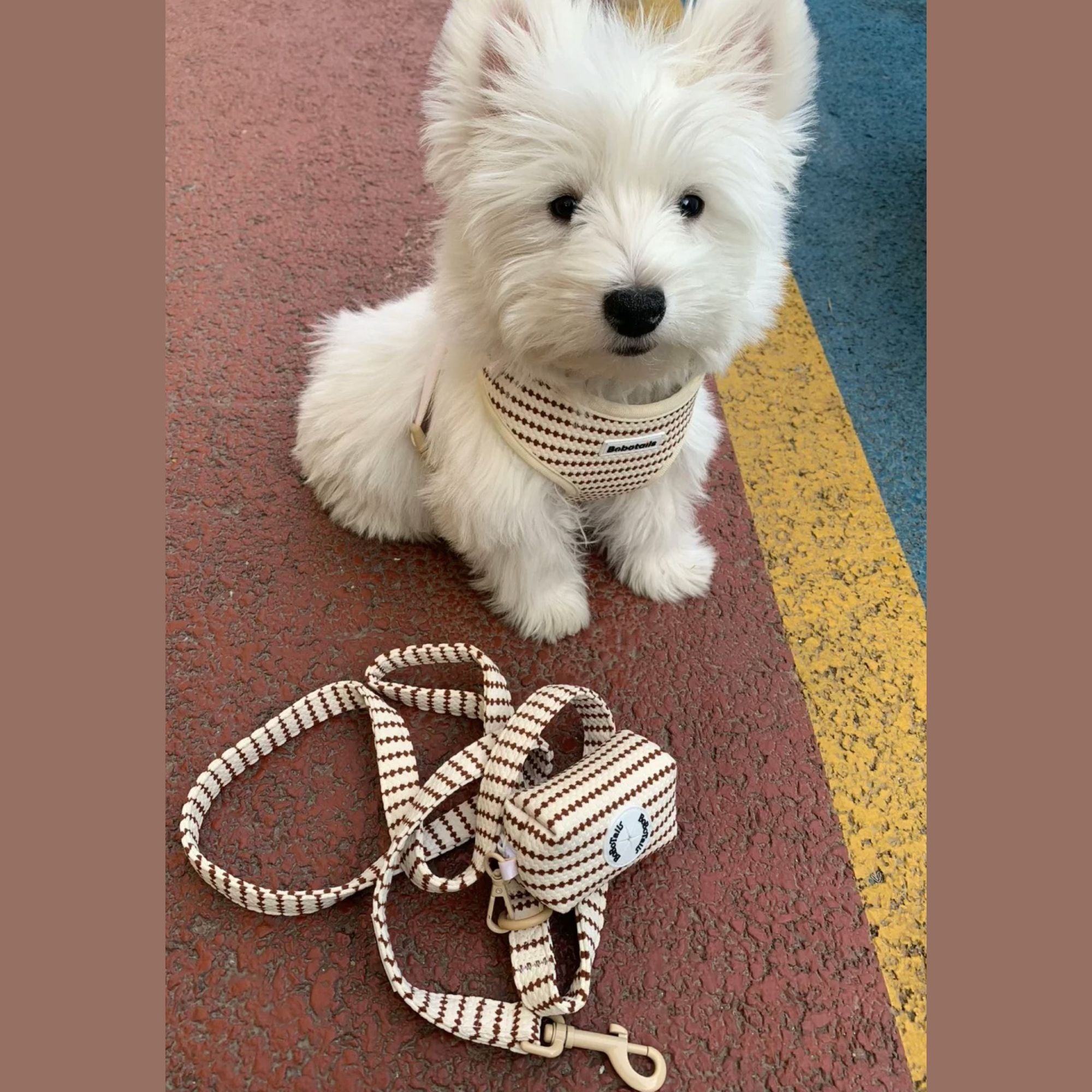 small grain dog harness leash set for extra small dog