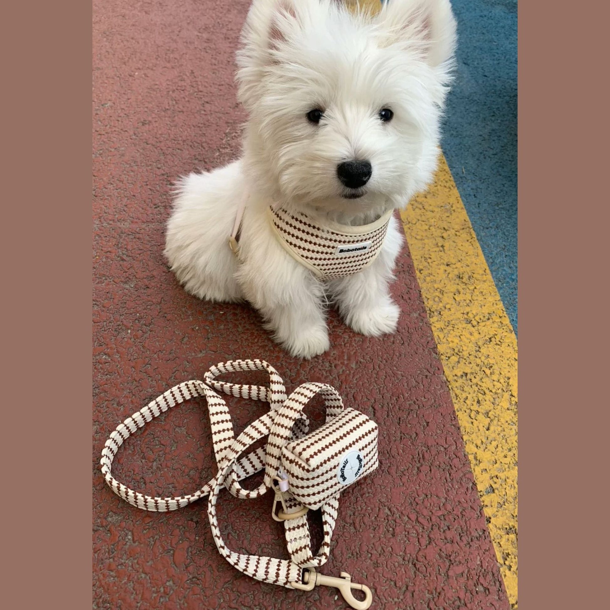 small grain dog harness leash set for extra small dog