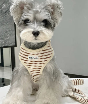 Miniature Schnauzer xx small dog wear Bobotails small grain dog harness and leash set 