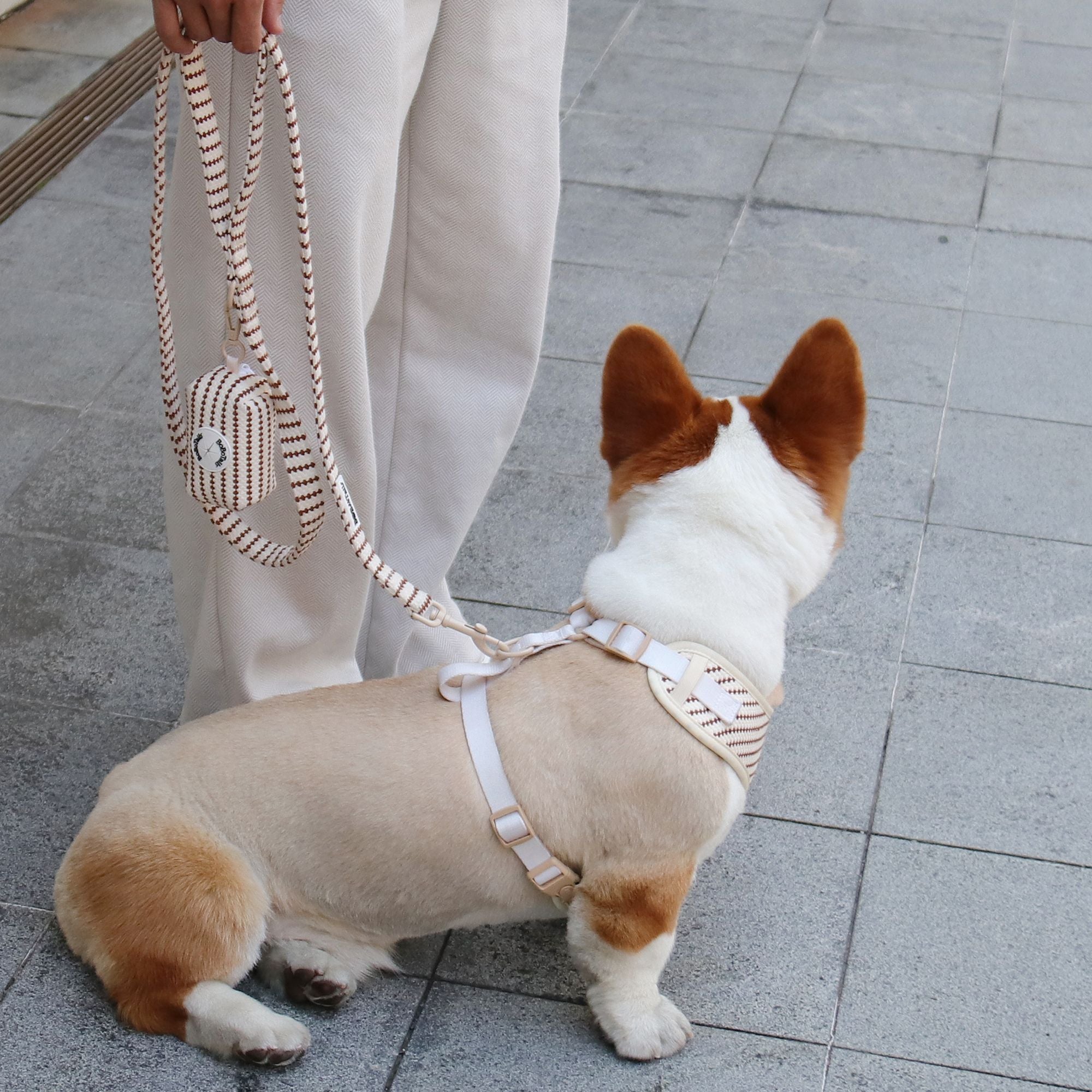A medium small grain dog lead and harness sets designed to match the harness and owner accessories for modern pet parents