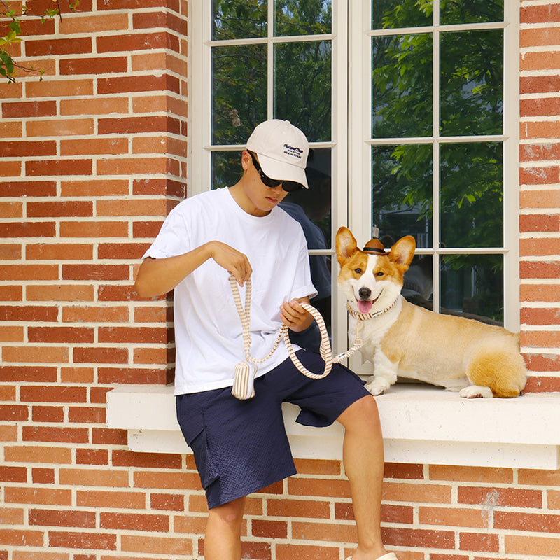 Bobotails small grain dog leash and collar for small to medium dog