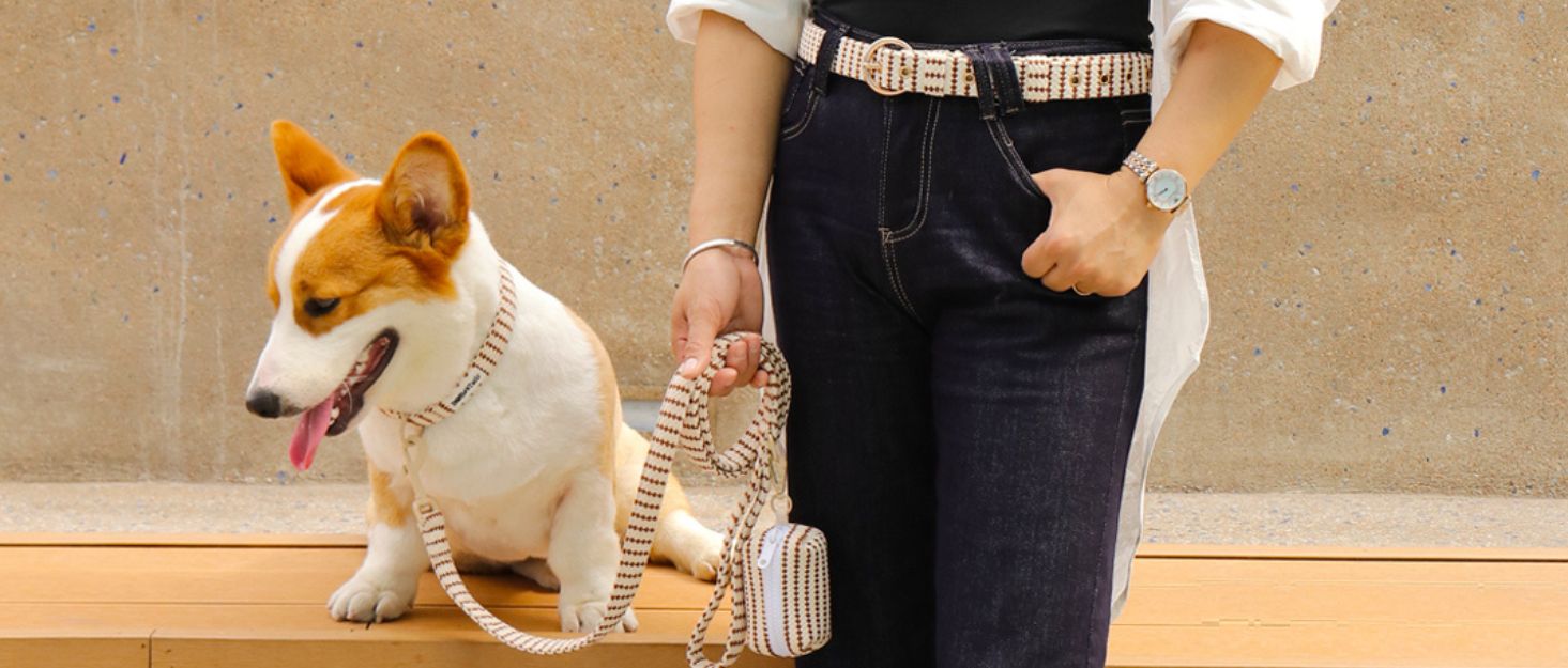 small grain dog leash and collar with poop bag holder designed to match the harness and owner accessories for modern pet parents