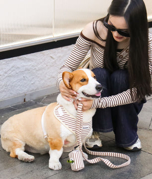 Small Grain Woman Matching Belts