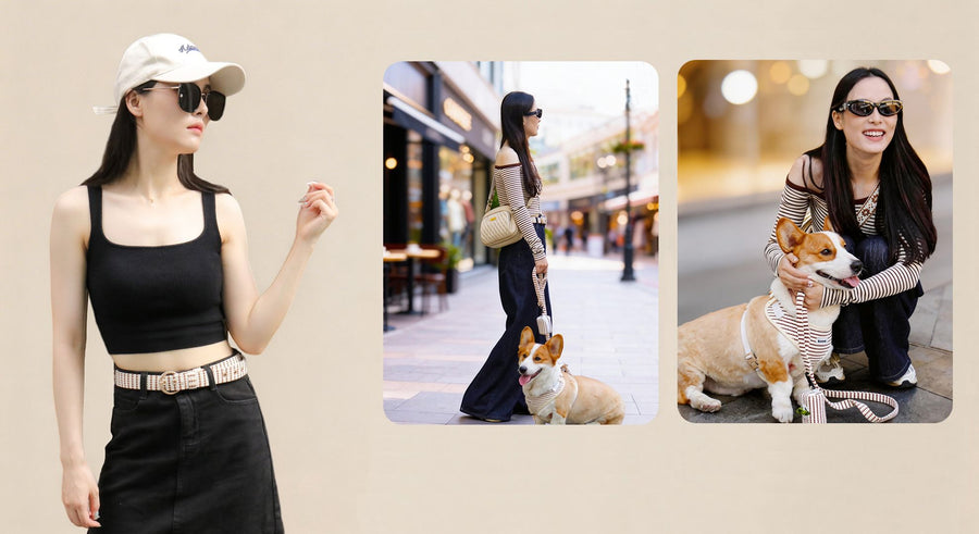 small grain dog harness matching set