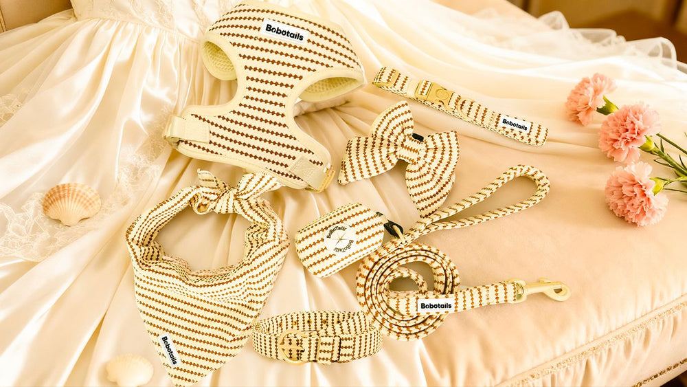 Small grain Dog accessories including a harness, leash, and collar ,bowties,dog poop bag holder and women belt on a soft fabric background with flowers.