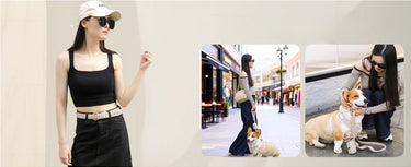 small grain matching dog harness leash set with women's belt and dog walking bag share together