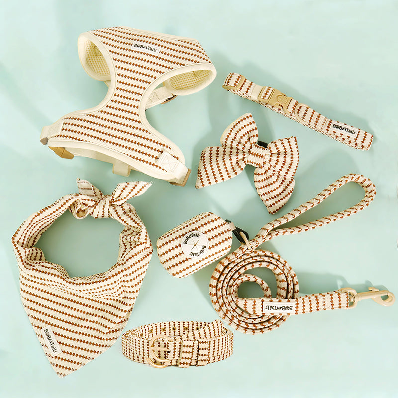 Ensemble assorti pour chien et propriétaire – harnais, laisse, accessoires et ceinture pour femme